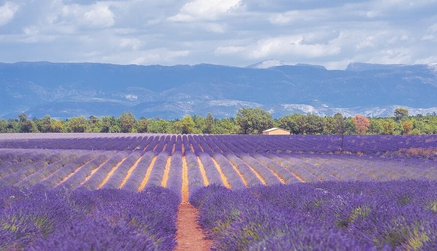 Cette Jurassienne a mis la Provence en bouteille… au coeur du Jura Suisse!