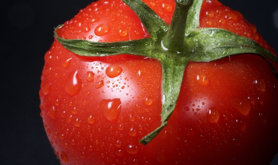 L’affaire de la tomate fugueuse ou le mystère "rouge écarlate" de l’ISS dévoilé !