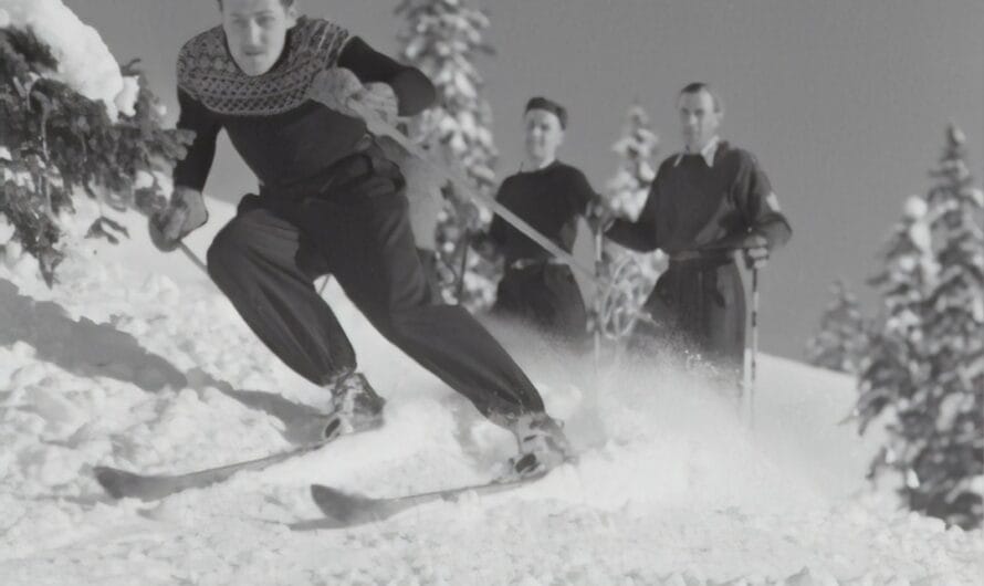 Quand les oiseaux charentais se mettent au ski : l’incroyable création glacée de Dame Nature !