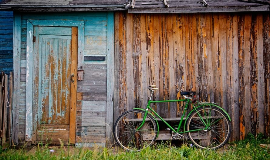 Cette nounou des Deux-Sèvres troque sa poussette pour un vélo-cargo et devient la star de Clessé !