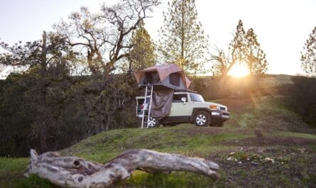 Quand le camping prend de la hauteur : un "Airbnb" illégal sur un toit à Tenerife !