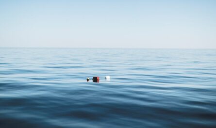 La folle course des OFNI à La Seyne : quand bidons et cellophane s'affrontent sur l'eau !