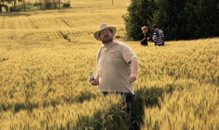 Un mystérieux crop circle fait son apparition dans la Manche : les Martiens sont-ils de retour ?