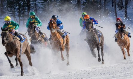 Pousseur de chevaux : un métier insolite et intense !