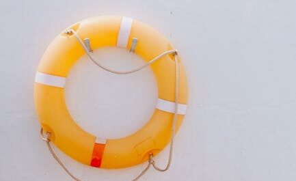 Des sangliers prennent d'assaut une piscine allemande : le maître-nageur n'en croit pas ses yeux !