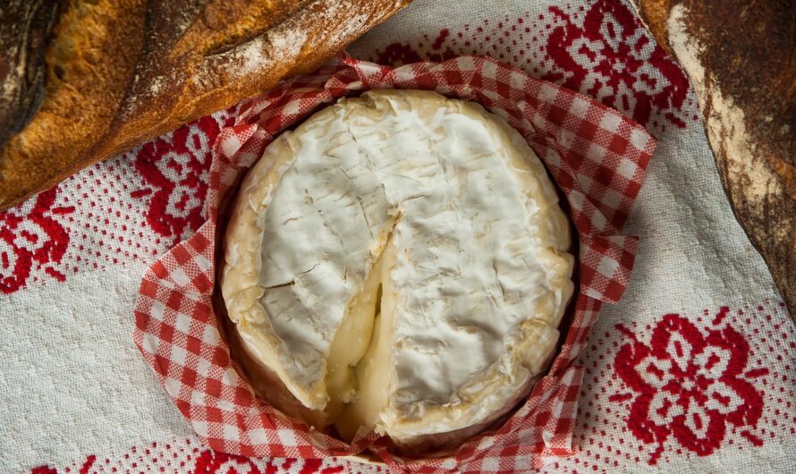 Le Camembert Présidentiel : Quand Jacques Chirac se fait "emballer" !