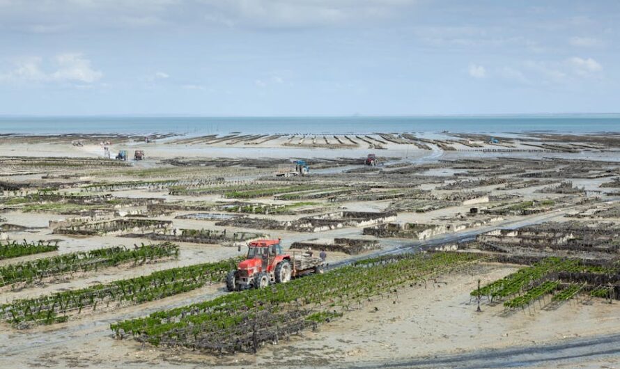 Les teufeurs bretons se la jouent tondeuse pour emmener leurs platines