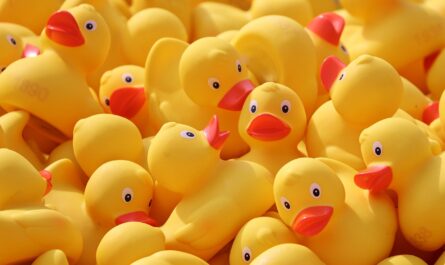 Une course de canards en plastique pour sauver des poules : l'incroyable Duck Race de Châteauroux !