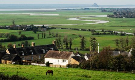 Les "Culs Brûlés" d'Olley cherchent un nom plus présentable (ou pas !)