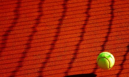 Quand une alarme de téléphone transforme un match de tennis en comédie musicale