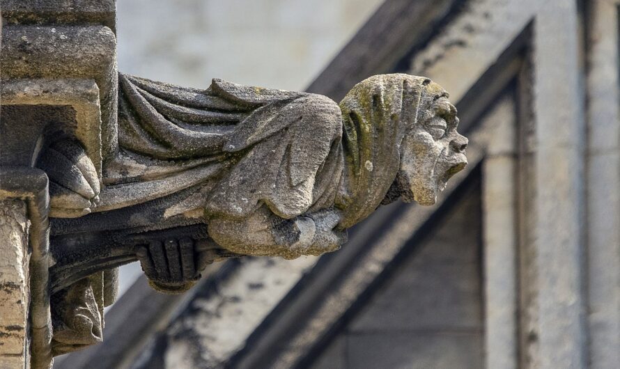 La gargouille qui fait jaser : quand Ahmed s’incruste sur la cathédrale de Lyon !