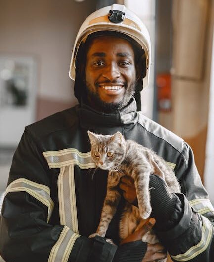 La Tête à l’Envers : Cette Chatte Anglaise Fait le Buzz Après s’être Retrouvée Coincée dans un Plafond