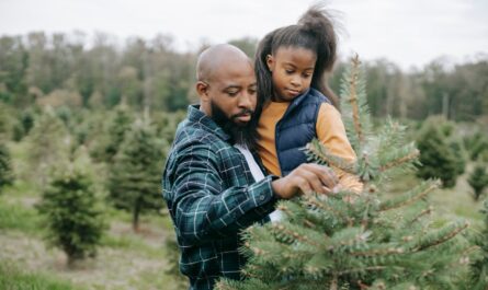 Un village viticole fait sensation avec son sapin de Noël planté... la tête en bas !