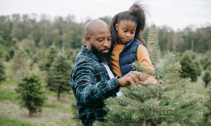 Un village viticole fait sensation avec son sapin de Noël planté… la tête en bas !