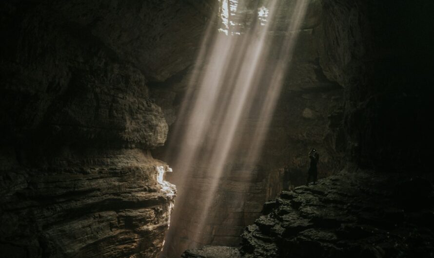 Un âne tombe dans une cave en Belgique : les pompiers réalisent un sauvetage digne d’un film d’action !