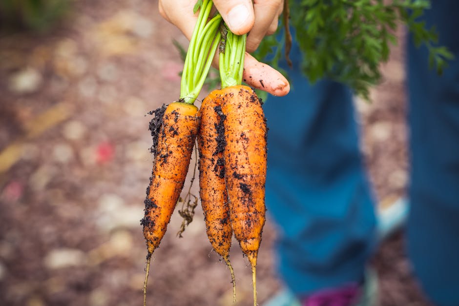 Ils emménagent dans leur nouvelle maison et découvrent un cadeau explosif dans le jardin !