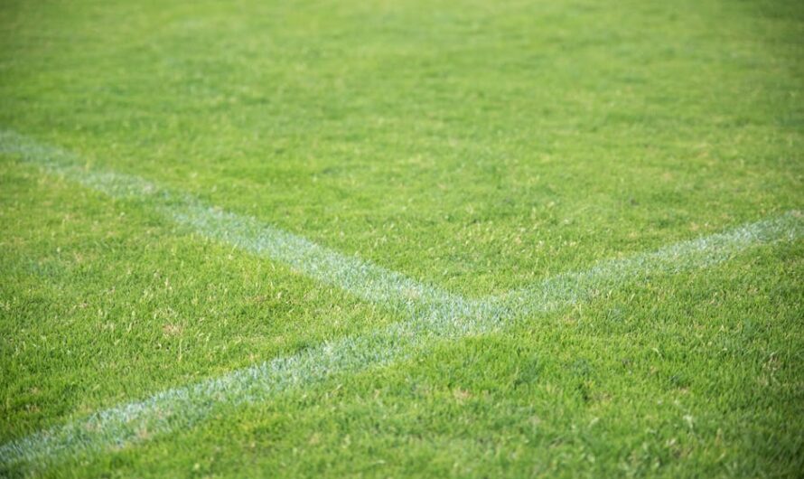 Quand le lait sauve un match de foot : l’incroyable solution portugaise qui fait mousser les réseaux sociaux