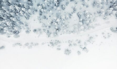 Quand les pisteurs du Semnoz rejouent "Alerte à Malibu" : un sauvetage aquatique... dans la neige fondue !