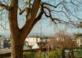 À Montmartre, un parc canin qui fait le buzz (et des jaloux)