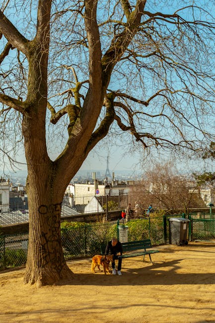 À Montmartre, un parc canin qui fait le buzz (et des jaloux)