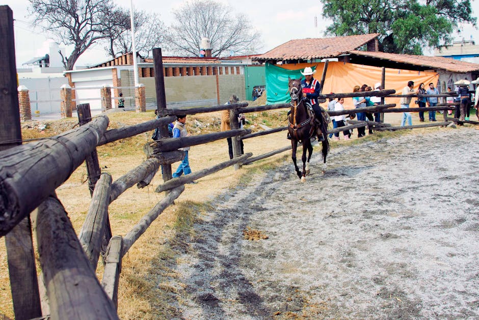 Bascons, Madrid, Mexico : Le trio improbable qui affole les amateurs de corrida !