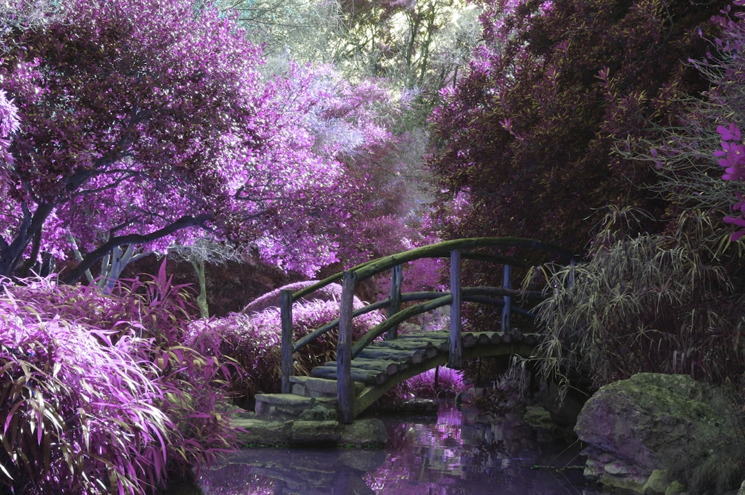 Quand un marchand de matériaux transforme son jardin en musée insolite : l'histoire d'Henri le poète vagabond